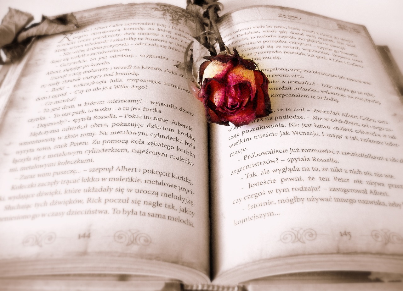 book, rose, book mark, open book, pages, chapter, novel, read, literature, reading, bookworm, book, book, rose flower, book, book, book, rose, rose, reading